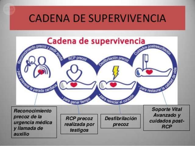 REANIMACIÓN CARDIOPULMONAR Y SOPORTE VITAL AVANZADO 3 ed