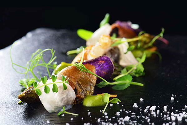 C. INNOVACION EN TECNICAS CULINARIAS ED.2