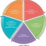 Educación Terapéutica de la Persona con Dolor: Herramientas para favorecer el autocuidado y manejo activo. Edición 1