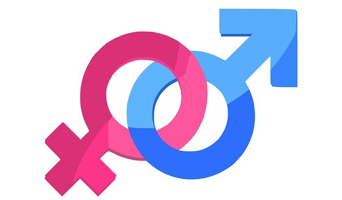INVESTIGACIÓN EN SALUD SEXUAL Y REPRODUCTIVA DE LA MUJER Ed.1
