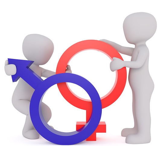 Curso Actuación ante casos de Violencia de Género Ed.2