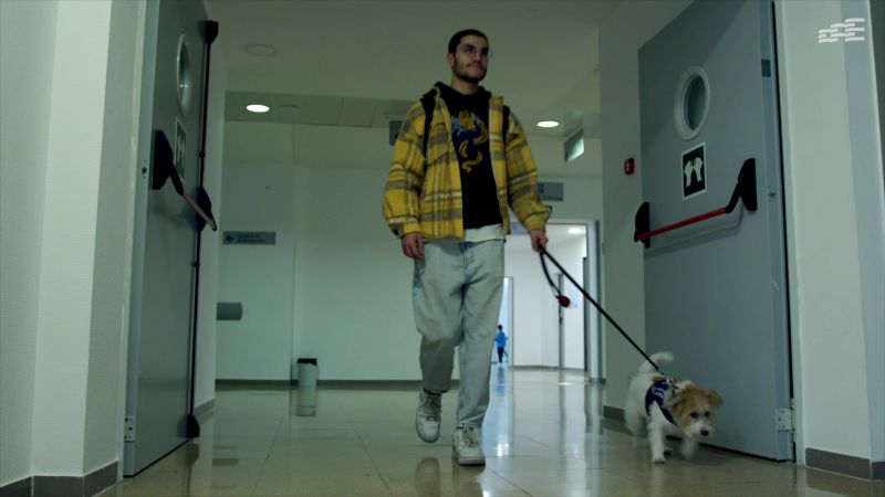 ‘Simba’ se convierte en el segundo perro que atiende a personas con diabetes autorizado para acceder al Clínico San Cecilio
