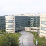 Listado defintivo admitidos/as y excluidos/as  convocatoria enfermero/a especialista en ginecología y obstetricia.