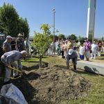 El Clínico San Cecilio amplía su 'Jardín de Vida' con la plantación de un granado en homenaje a las personas donantes de órganos y tejidos
