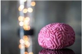 ABORDAJE INTERSECTORIAL DE LA PATOLOGIA DUAL PARA PESONAL NO SANITARIO ED.1